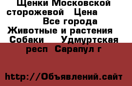 Щенки Московской сторожевой › Цена ­ 35 000 - Все города Животные и растения » Собаки   . Удмуртская респ.,Сарапул г.